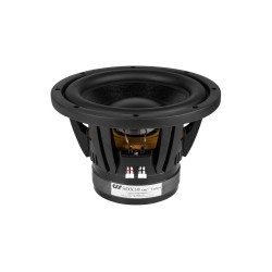 CSS SDX10 XBL2 Subwoofer